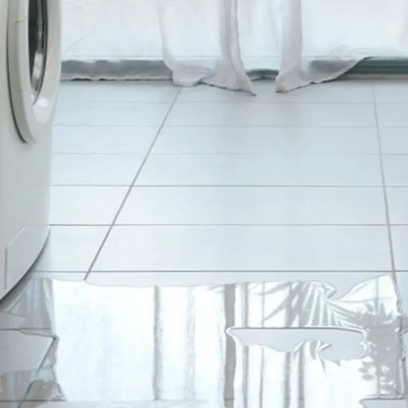 Appliance Leak Cleanup in Forestville, CA